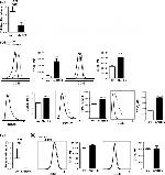 CD86 (B7-2) Antibody in Flow Cytometry (Flow)