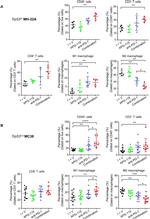 CD45 Antibody