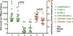 CD4 Antibody in Flow Cytometry (Flow)