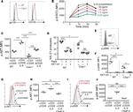 IL-21 Antibody in Flow Cytometry (Flow)