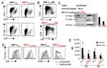 CD4 Antibody in Flow Cytometry (Flow)