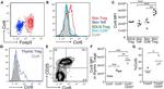 CD25 Antibody in Flow Cytometry (Flow)