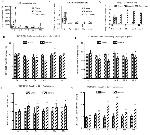 CD4 Antibody in Flow Cytometry (Flow)