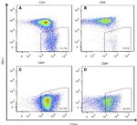 CD4 Antibody in Flow Cytometry (Flow)