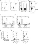 Ki-67 Antibody in Flow Cytometry (Flow)