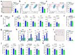 CD11c Antibody in Flow Cytometry (Flow)