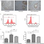 CD4 Antibody in Flow Cytometry (Flow)