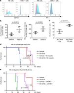 NK1.1 Antibody in Flow Cytometry (Flow)