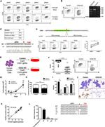 CD14 Antibody in Flow Cytometry (Flow)