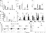 CD25 Antibody in Flow Cytometry (Flow)