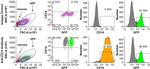 CD14 Antibody in Flow Cytometry (Flow)