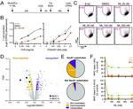 MHC Class I (H-2Kb) Antibody in Flow Cytometry (Flow)