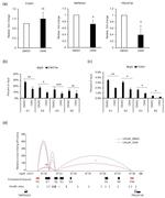 FOXA1 Antibody in ChIP Assay (ChIP)