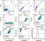 SSEA3 Antibody in Flow Cytometry (Flow)