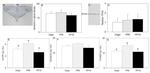 TPH2 Antibody in Western Blot (WB)