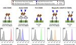 c-Myc Antibody in Flow Cytometry (Flow)