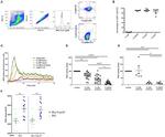 CD16 Antibody in Neutralization (Neu)