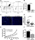 Ly-6C Antibody in Flow Cytometry (Flow)