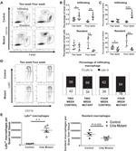 F4/80 Antibody in Flow Cytometry (Flow)