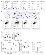 CD11c Antibody in Flow Cytometry (Flow)