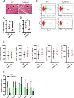 F4/80 Antibody in Flow Cytometry (Flow)