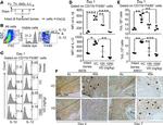 IL-1 beta (Pro-form) Antibody in Flow Cytometry (Flow)