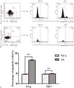 CD4 Antibody in Flow Cytometry (Flow)