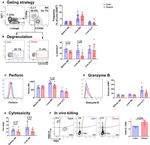 NK1.1 Antibody in Flow Cytometry (Flow)