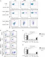 CD86 (B7-2) Antibody in Flow Cytometry (Flow)