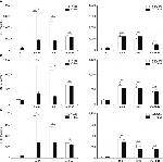 IL-6 Antibody in ELISA (ELISA)