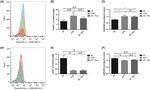 CD206 (MMR) Antibody in Flow Cytometry (Flow)