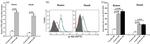 Phospho-AKT1 (Ser473) Antibody in Flow Cytometry (Flow)