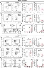 CD103 (Integrin alpha E) Antibody in Flow Cytometry (Flow)