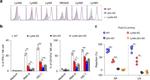 Ly-49A Antibody in Flow Cytometry (Flow)