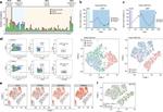 CD45 Antibody in Flow Cytometry (Flow)