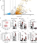 Granzyme B Antibody in Flow Cytometry (Flow)