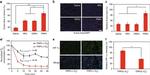 HIF1A Antibody in Immunocytochemistry, Immunohistochemistry (ICC/IF, IHC)