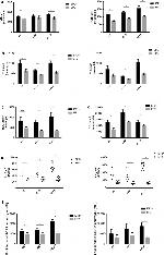 CD14 Antibody in Flow Cytometry (Flow)