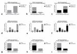 KIAA1429 Antibody in Immunohistochemistry (IHC)