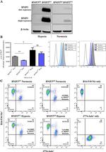 CD47 Antibody in Flow Cytometry (Flow)