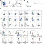 EOMES Antibody in Flow Cytometry (Flow)