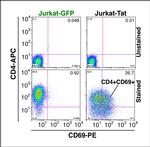 CD69 Antibody in Flow Cytometry (Flow)