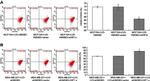 CD24 Antibody in Flow Cytometry (Flow)