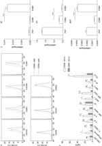 CD199 (CCR9) Antibody in Flow Cytometry (Flow)