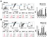 CD86 (B7-2) Antibody in Flow Cytometry (Flow)