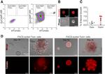 CD326 (EpCAM) Antibody in Flow Cytometry (Flow)