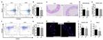 CD326 (EpCAM) Antibody in Flow Cytometry (Flow)