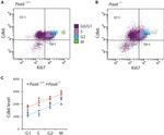 Ki-67 Antibody in Flow Cytometry (Flow)