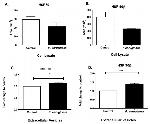 HSP90 beta Antibody in ELISA (ELISA)