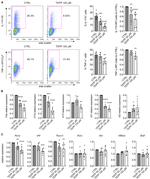 IL-17A Antibody in Flow Cytometry (Flow)